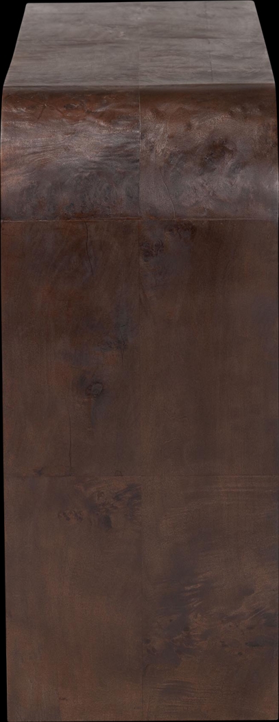 Driftfruit Dark Brown Console Table - Thumbnail - Image 3