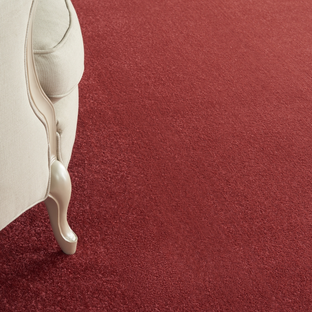 Easthagen Red 8' x 10' Indoor/Outdoor Rug - Thumbnail - Image 5