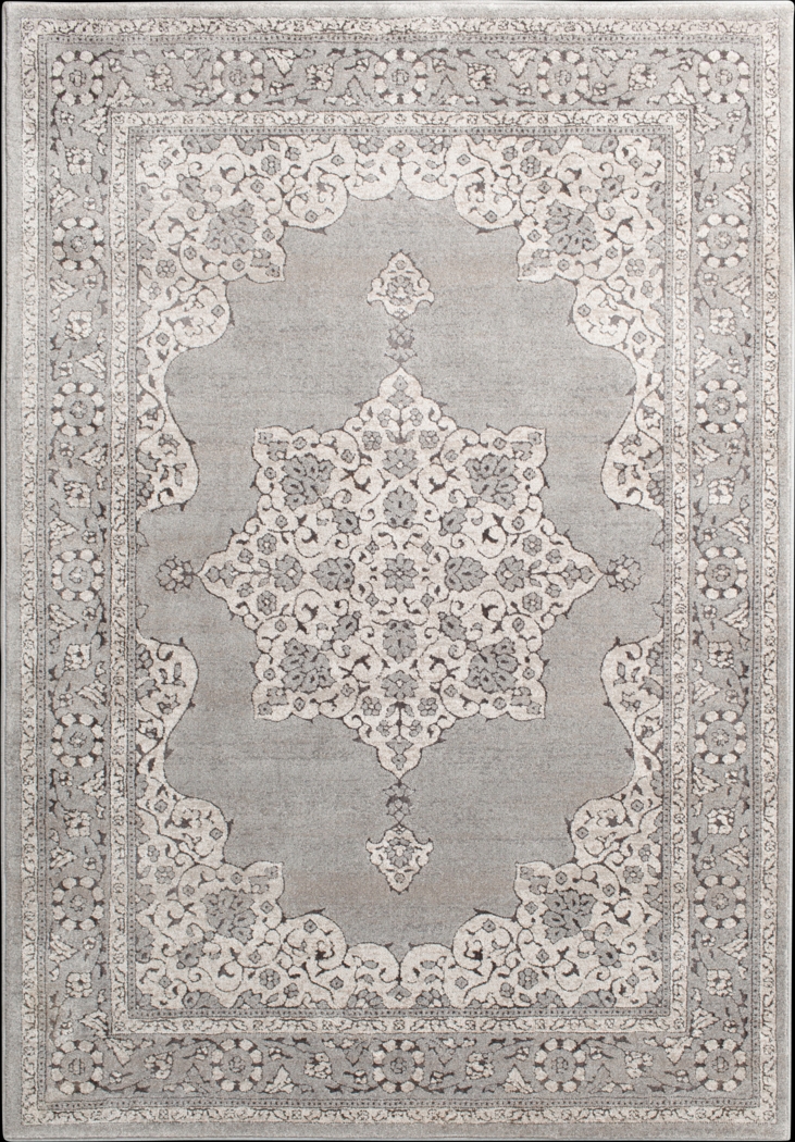 Ebany Gray 7'10 x 10'10 Rug - Thumbnail - Image 1