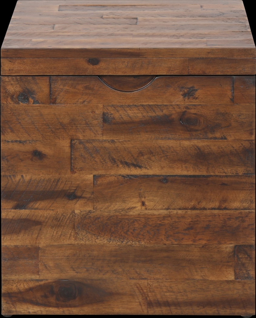 Eclanens Dark Brown Storage Trunk - Thumbnail - Image 1