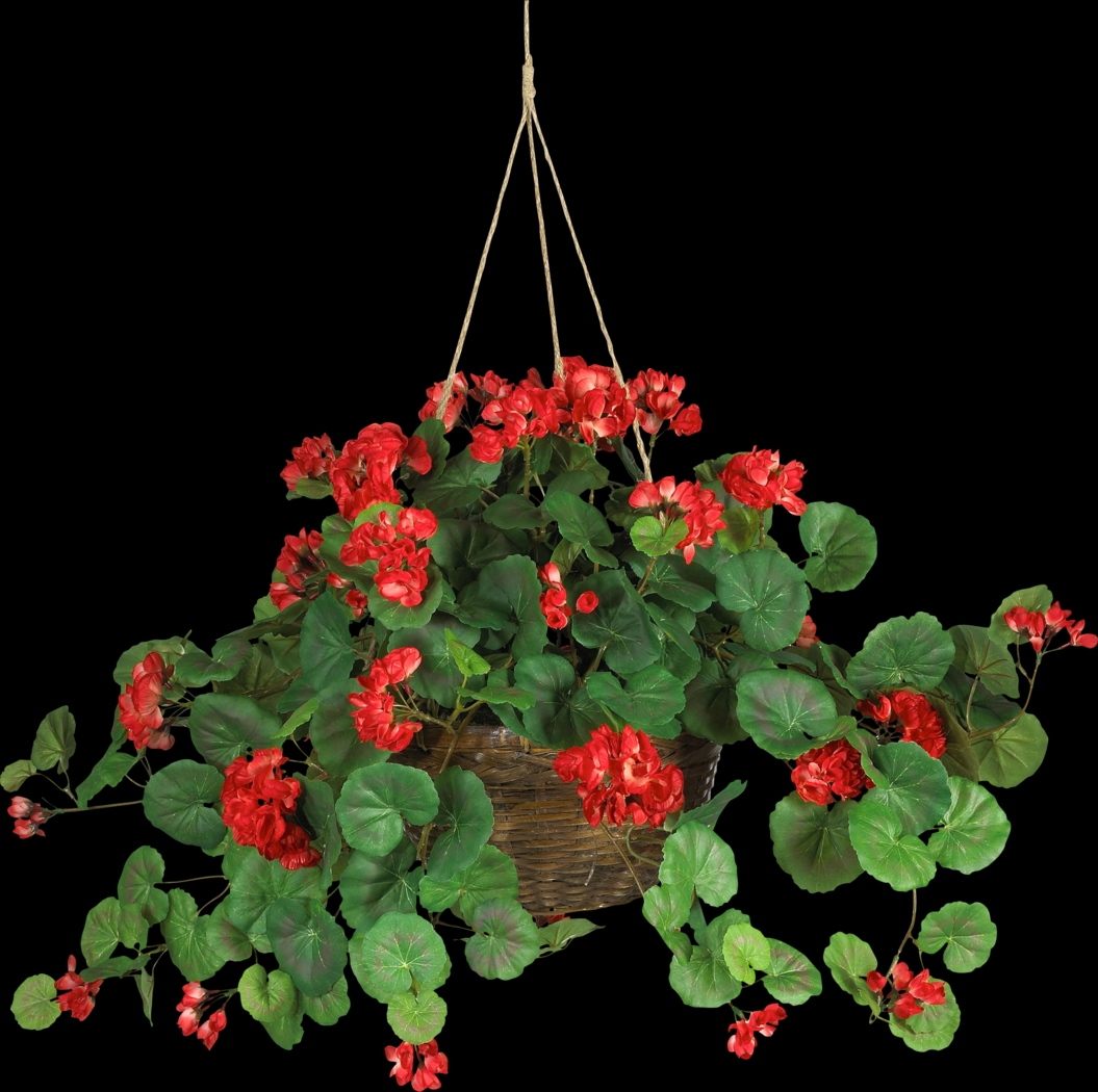 Edalyn Red Geranium Silk Plant - Thumbnail - Image 1