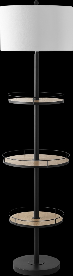 Edmore Hills Black Floor Lamp - Thumbnail - Image 1