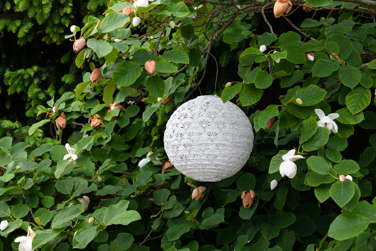 Eger Club Outdoor White Solar Lantern - Thumbnail - Image 7