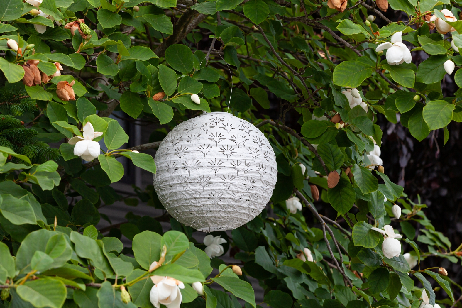 Eger Club Outdoor White Solar Lantern - Thumbnail - Image 9