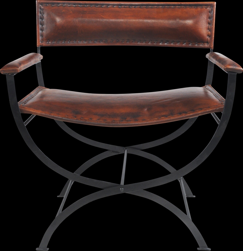 Egoria Brown Accent Chair - Thumbnail - Image 1