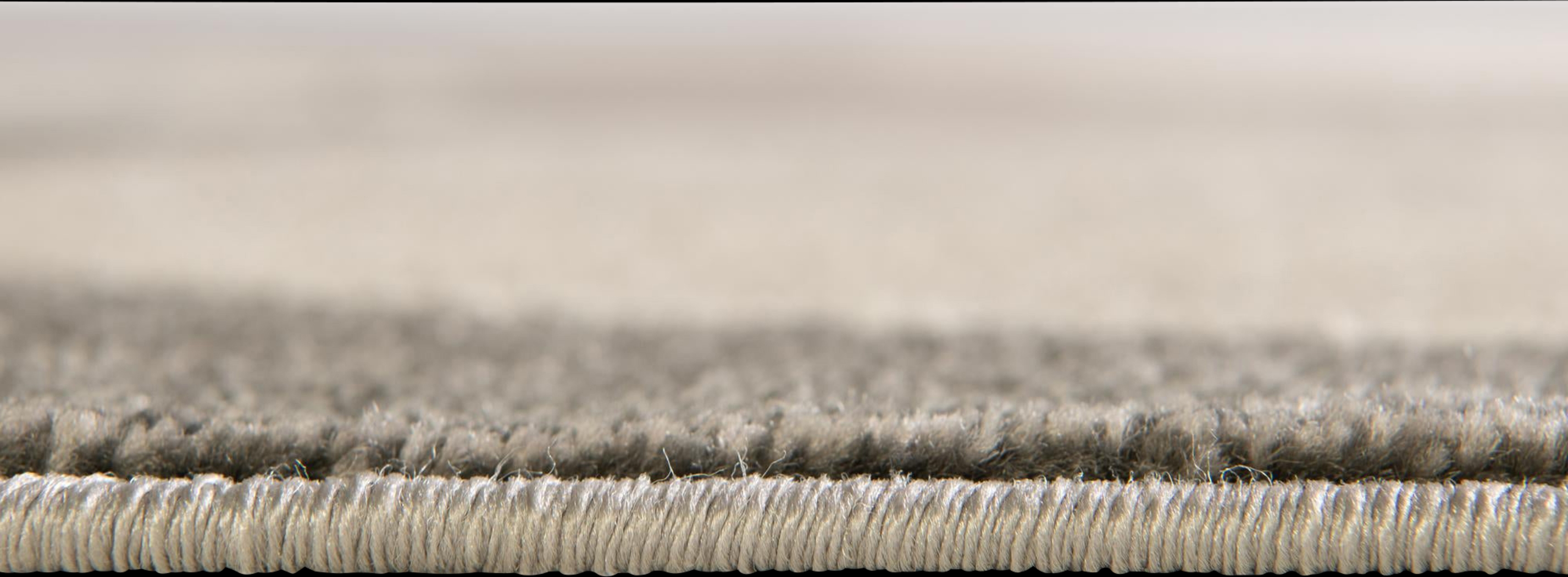 Elam Beige 9' x 12'2 Rug - Thumbnail - Image 4