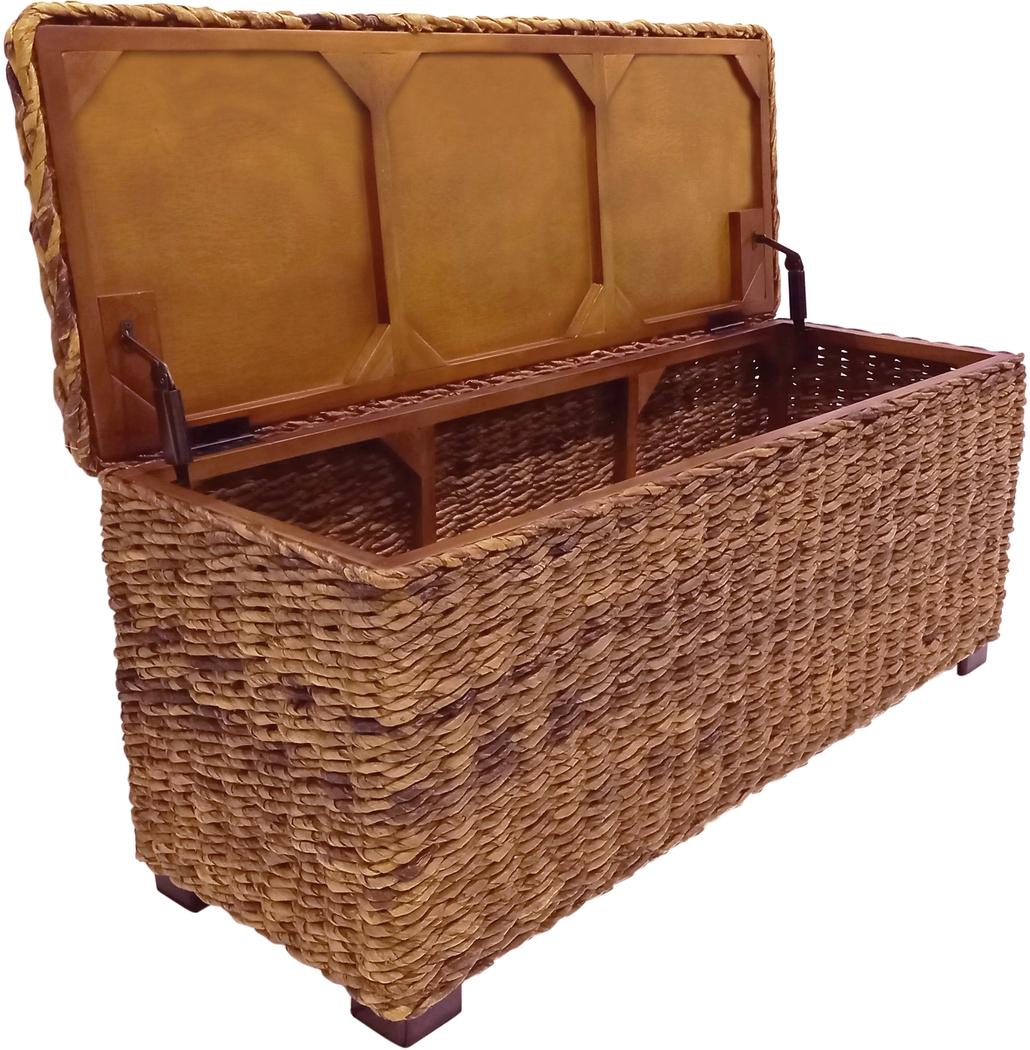 Elaney Ann Brown Storage Trunk - Thumbnail - Image 3