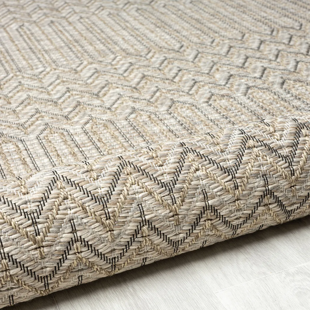 Eldoxo Tan 7'10 x 9'6 Indoor/Outdoor Rug - Image 7