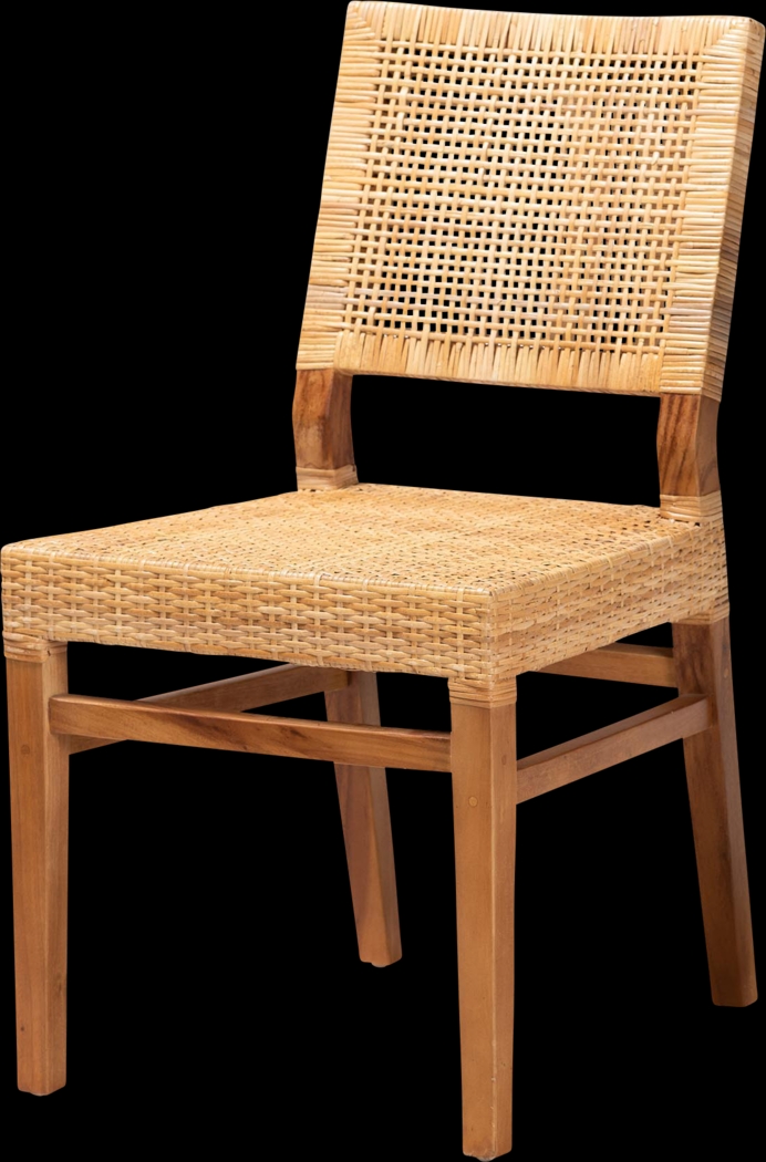 Elesya Brown Dining Chair - Thumbnail - Image 1