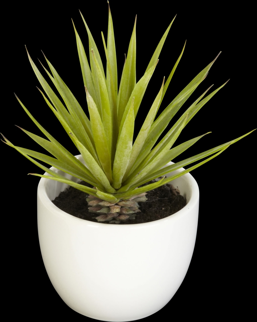 Elide Green Silk Plant, Set of 3 - Thumbnail - Image 2