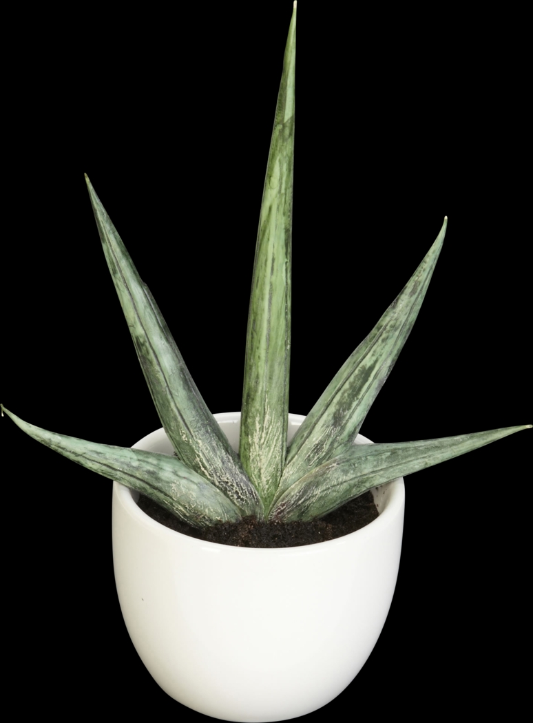 Elide Green Silk Plant, Set of 3 - Thumbnail - Image 3