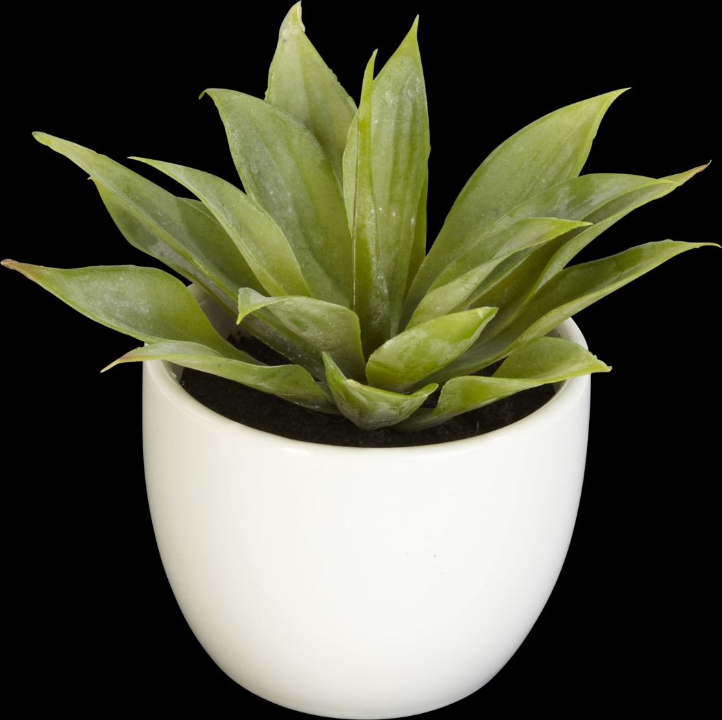 Elide Green Silk Plant, Set of 3 - Thumbnail - Image 4