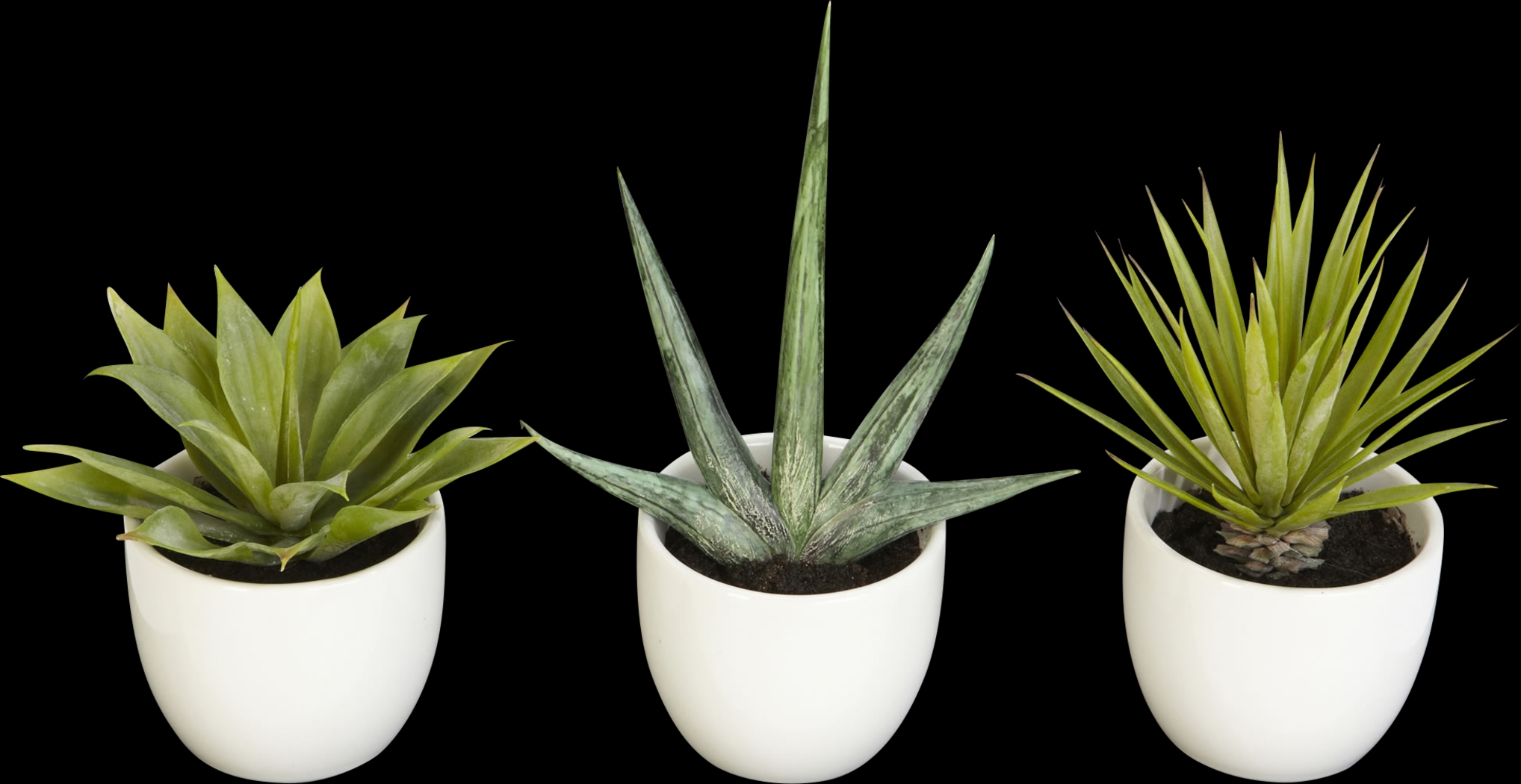 Elide Green Silk Plant, Set of 3 - Thumbnail - Image 1