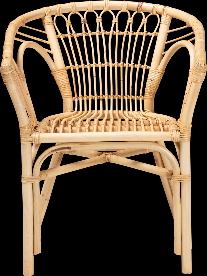 Elinaor Brown Arm Chair - Thumbnail - Image 3