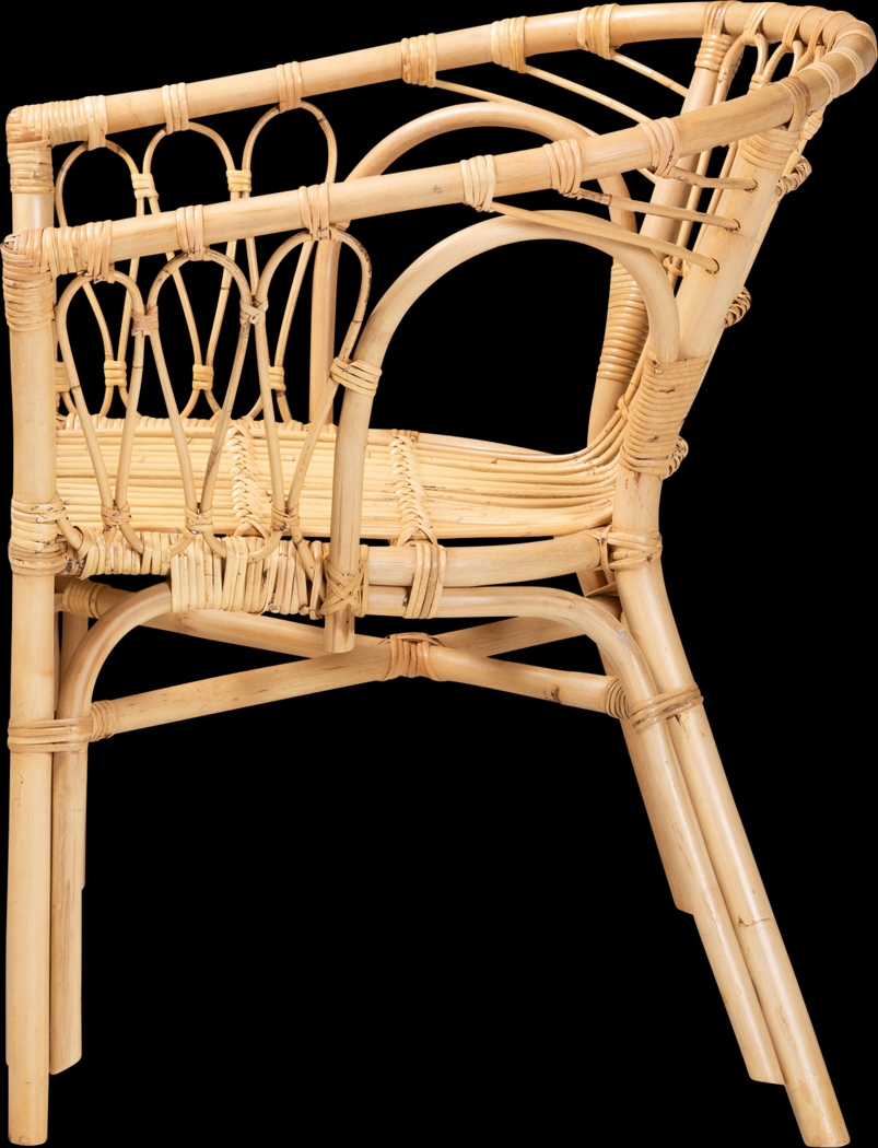 Elinaor Brown Arm Chair - Thumbnail - Image 4