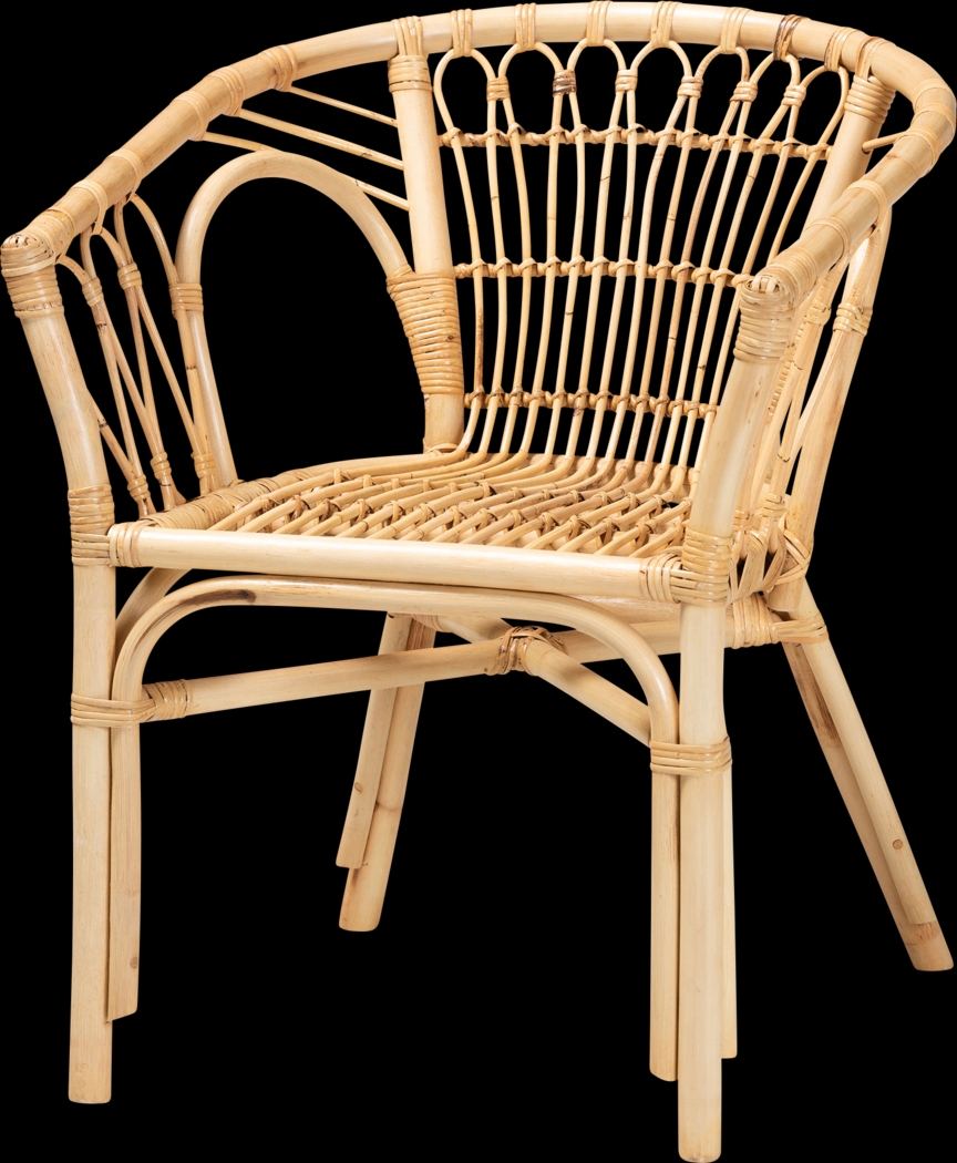 Elinaor Brown Arm Chair - Thumbnail - Image 1