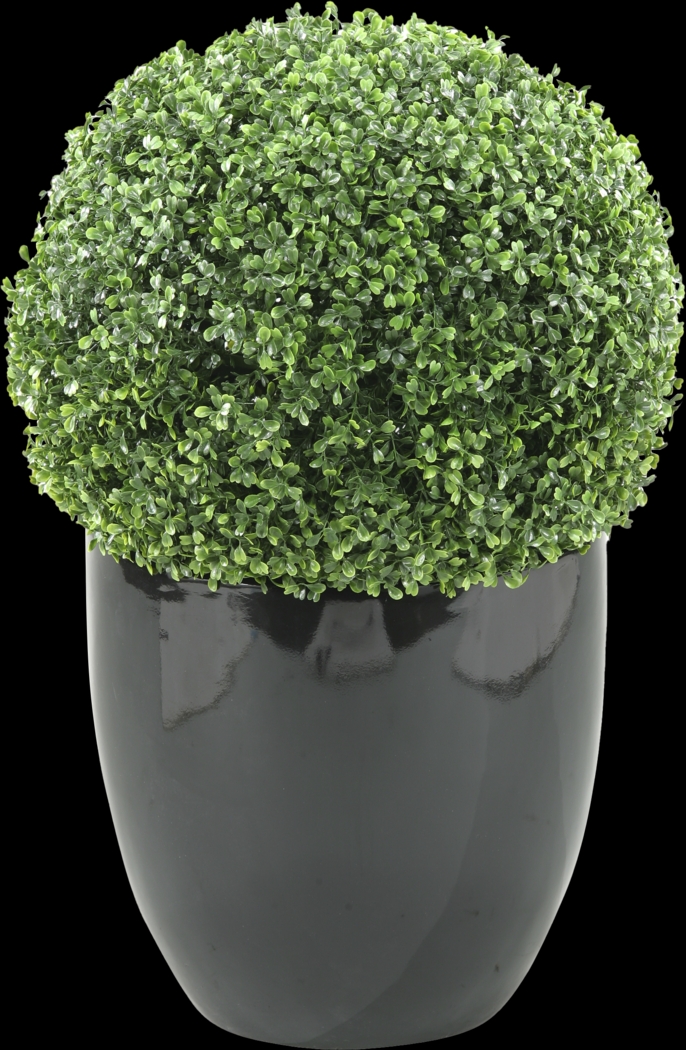 Elland Green 30 in. Artificial Boxwood Ball in Black Planter - Thumbnail - Image 1