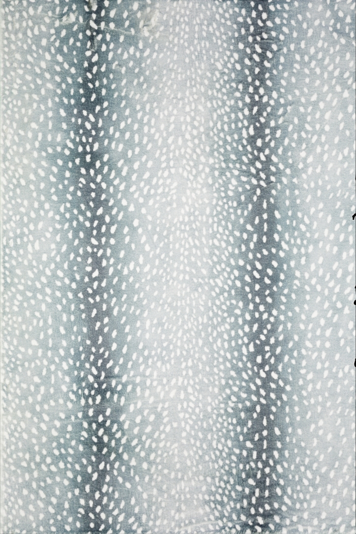 Elmgrove Blue 3' x 5' Rug - Thumbnail - Image 1