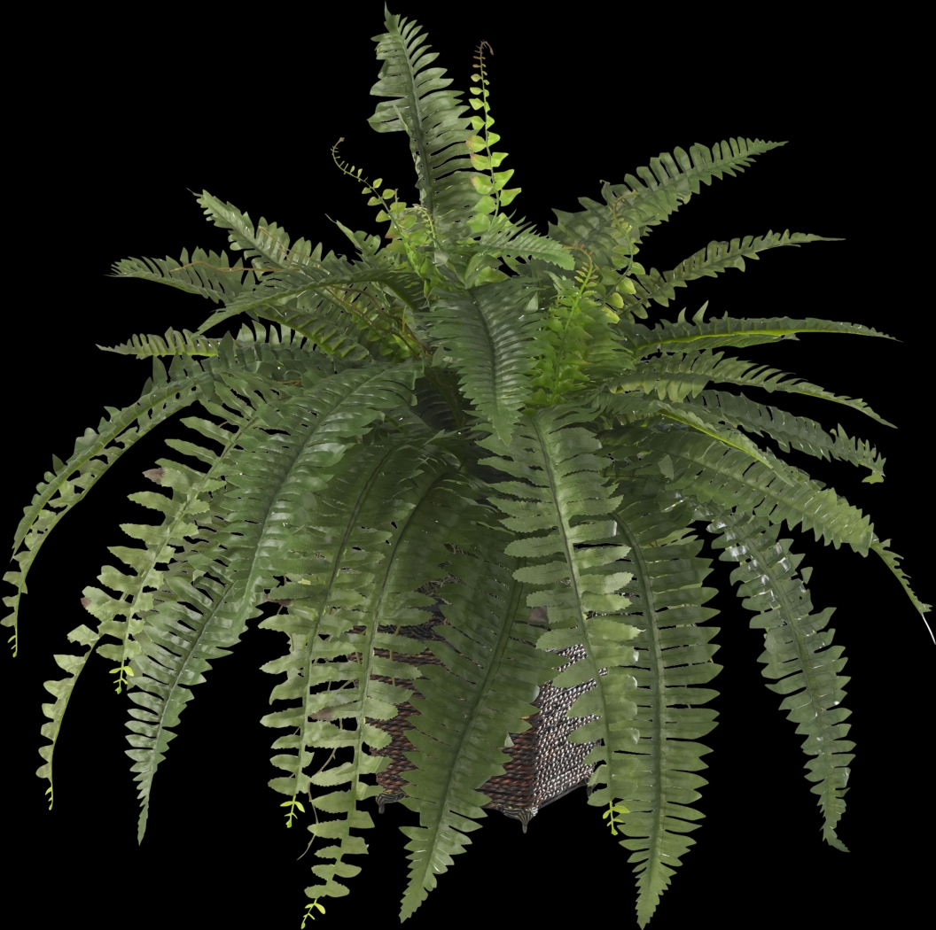 Emelia Green Fern Silk Plant - Thumbnail - Image 2