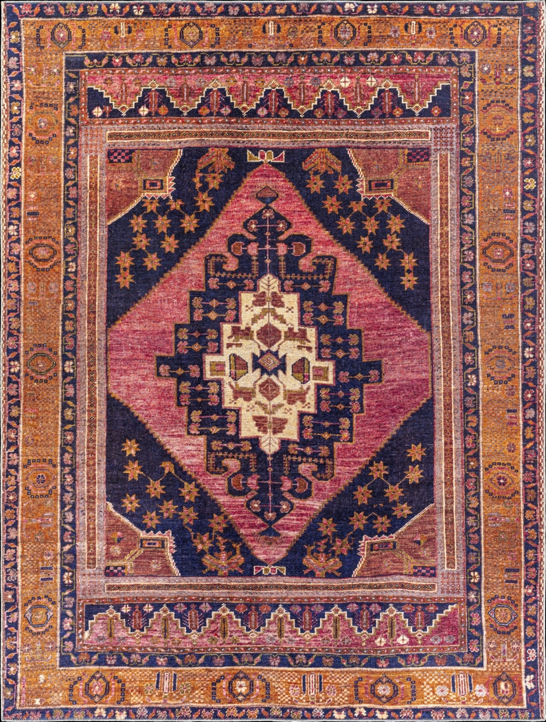 Emelyn Orange 7'8 x 10' Rug - Thumbnail - Image 1