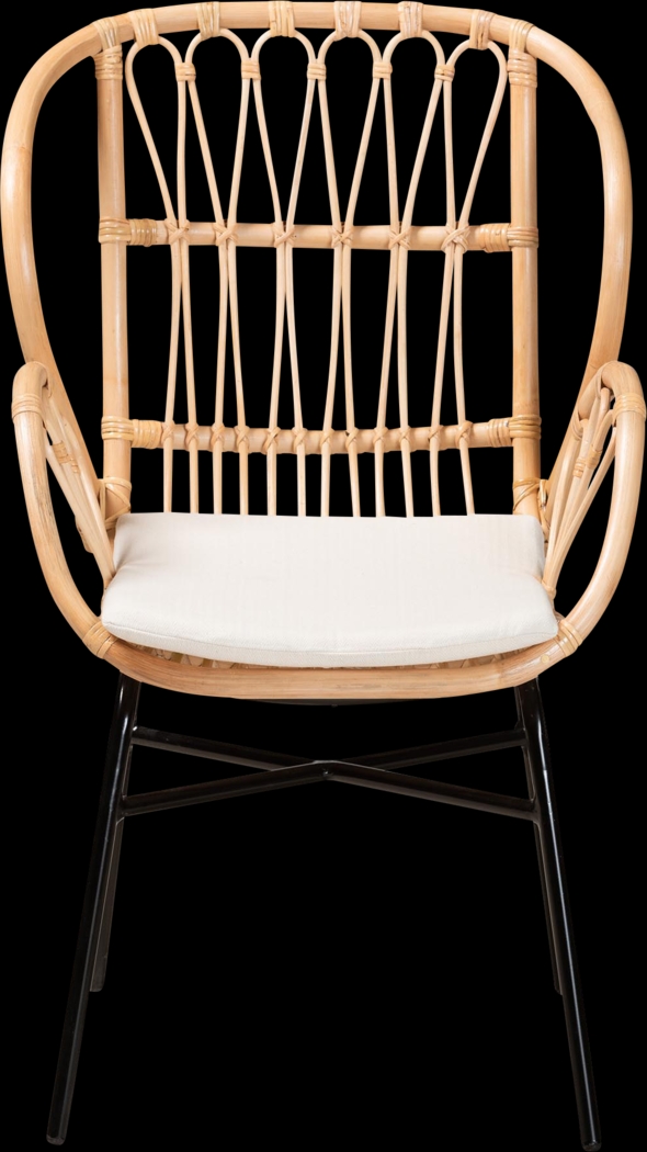 Enadia Brown Arm Chair - Thumbnail - Image 3