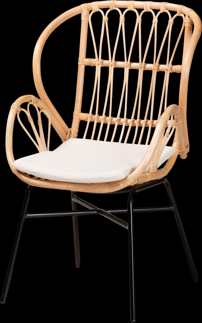 Enadia Brown Arm Chair - Thumbnail - Image 1