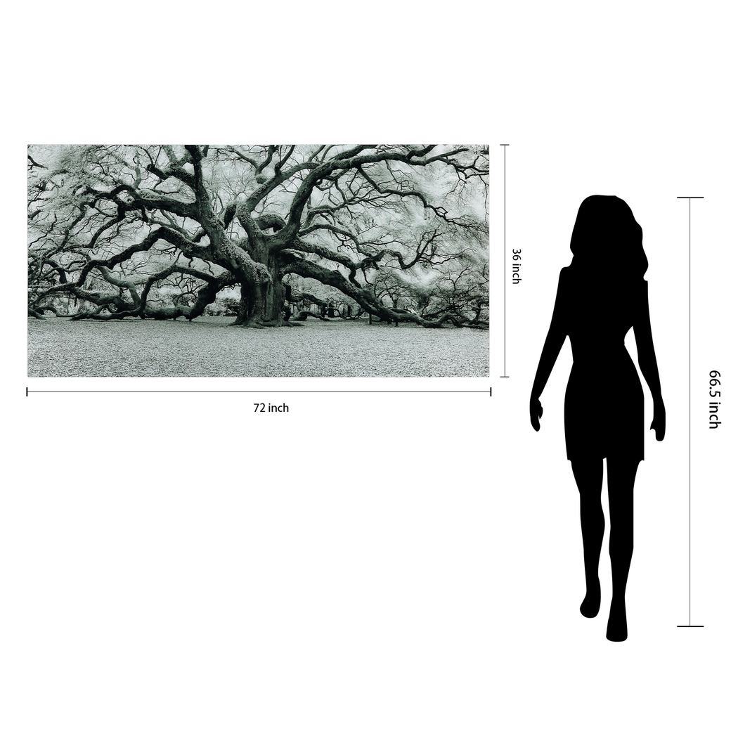 The Angel Oak Artwork - Thumbnail - Image 8