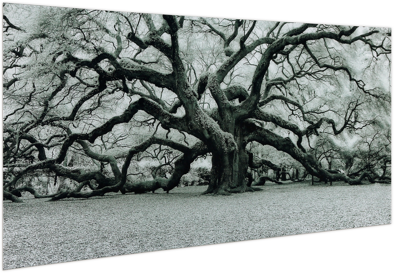 Enchanting Tree Artwork - Thumbnail - Image 2