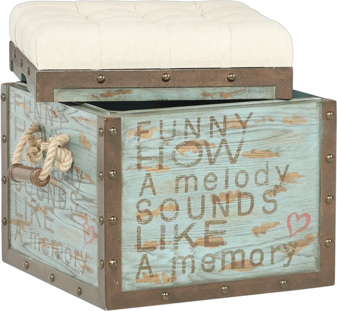 Eric Church Highway To Home Heartland Falls Blue Accent Storage Ottoman - Thumbnail - Image 2