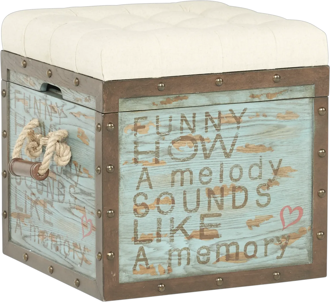 Eric Church Highway To Home Heartland Falls Blue Accent Storage Ottoman - Thumbnail - Image 1