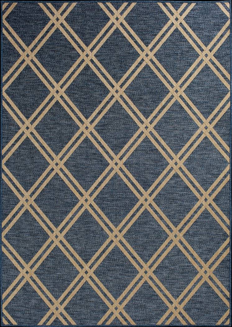 Eristy Blue 7'10 x 9'10 Indoor/Outdoor Rug - Thumbnail - Image 1