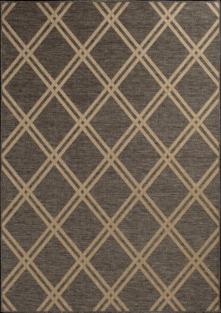 Eristy Brown 5'3 x 7'7 Indoor/Outdoor Rug - Thumbnail - Image 1