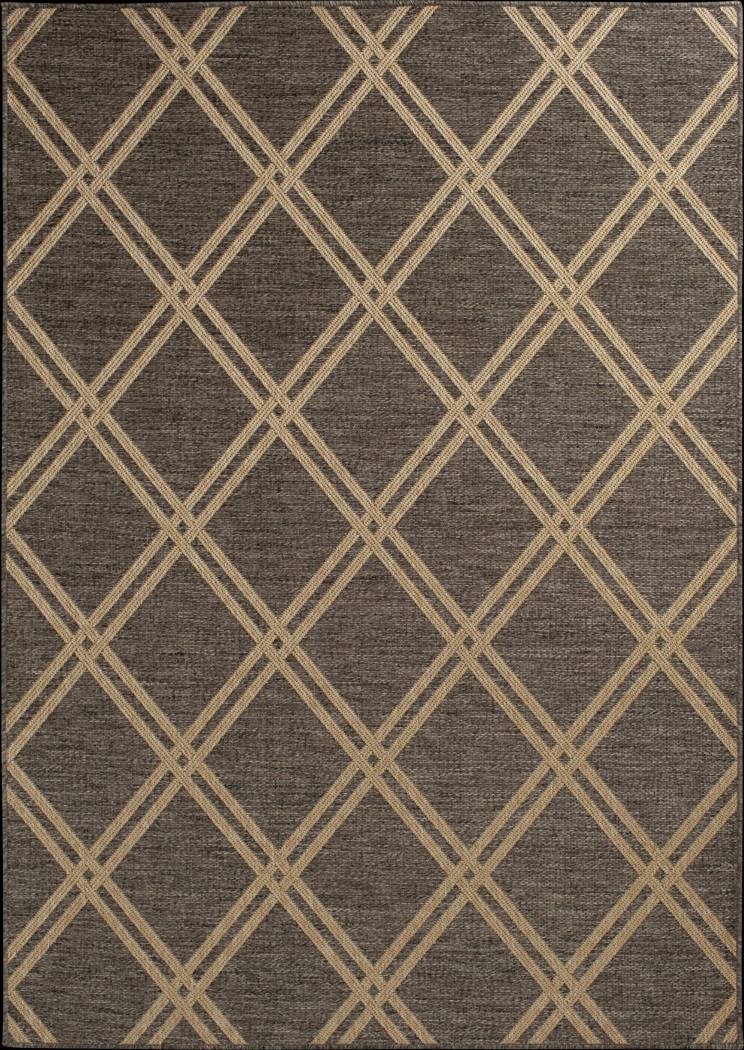 Eristy Brown 6'7 x 9'6 Indoor/Outdoor Rug - Thumbnail - Image 1
