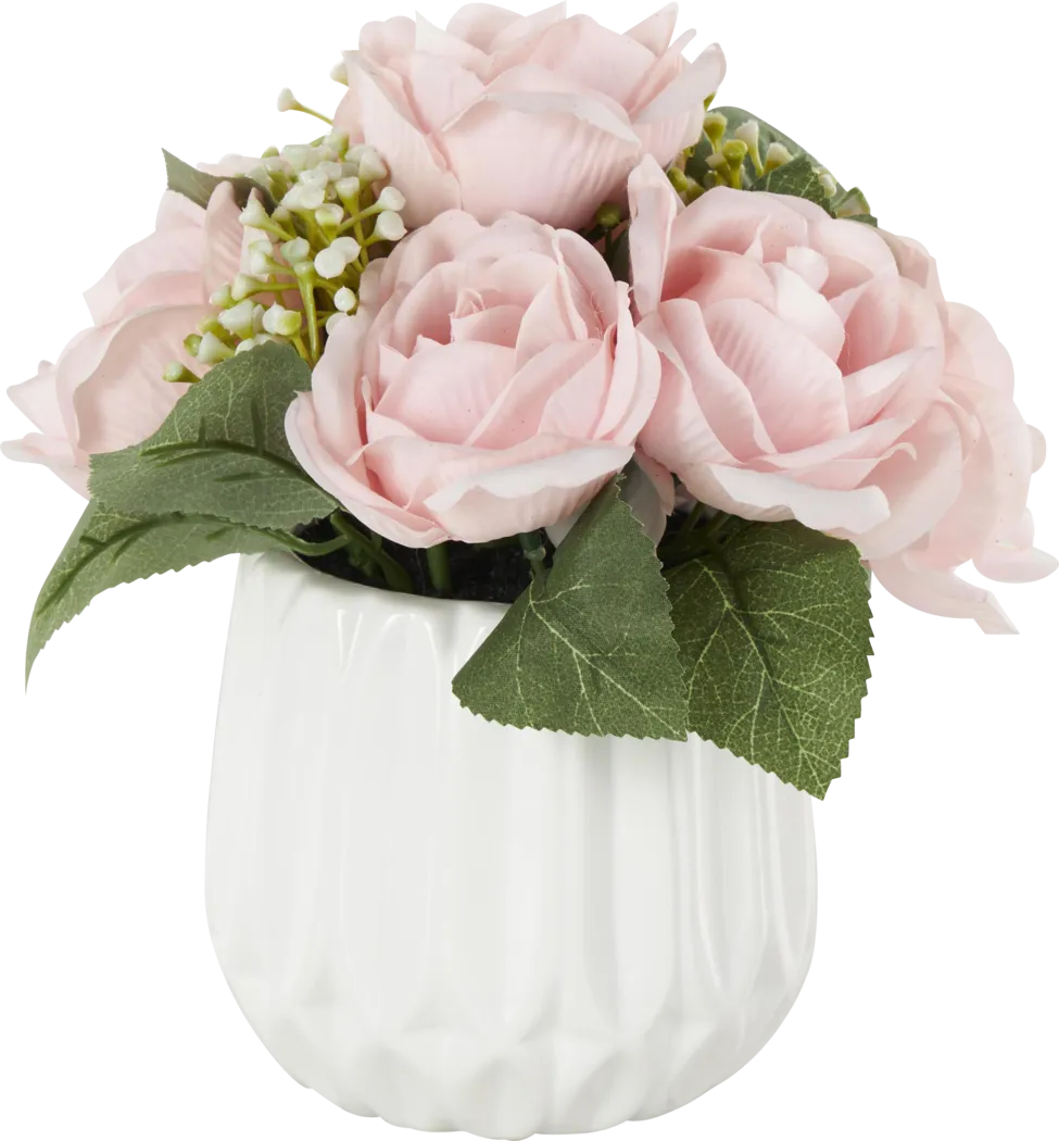 Essen White Silk Plant - Thumbnail - Image 2