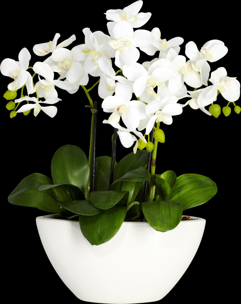 Estella Green Orchid Silk Floral - Thumbnail - Image 1