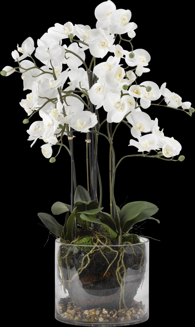 Evonna White Orchid Silk Flower Arrangement - Thumbnail - Image 1