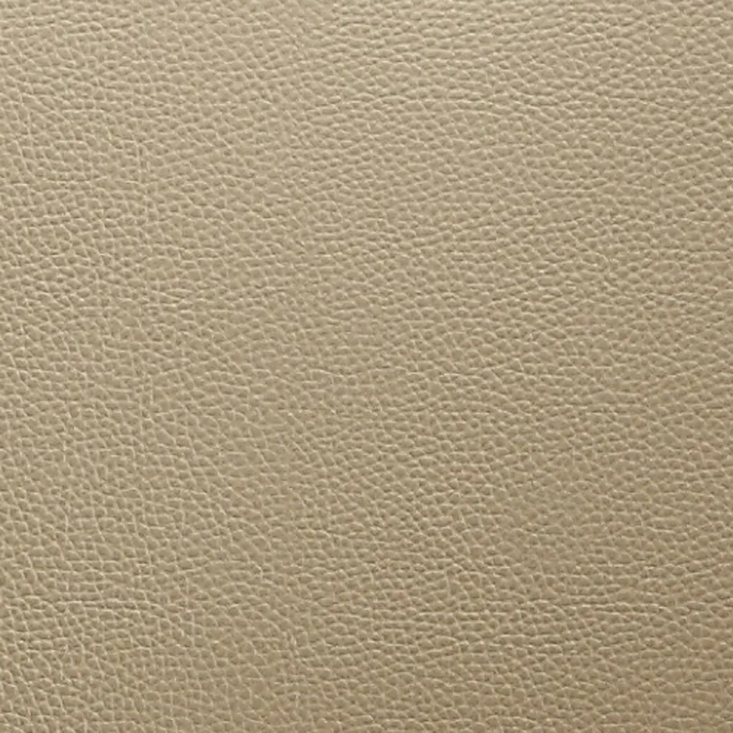 Explority Champagne Side Chair, Set of 2 - Thumbnail - Image 2