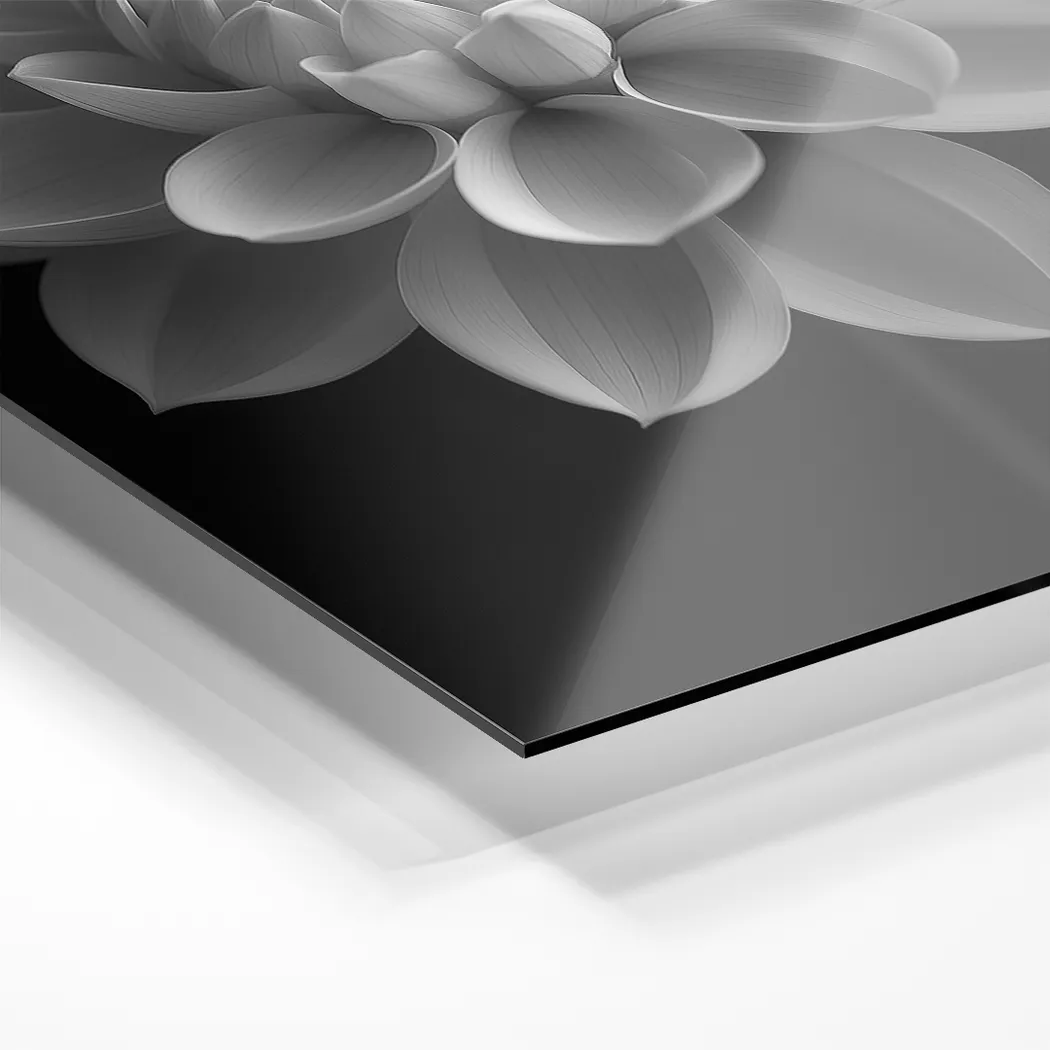 Faniry I Black Artwork - Thumbnail - Image 2