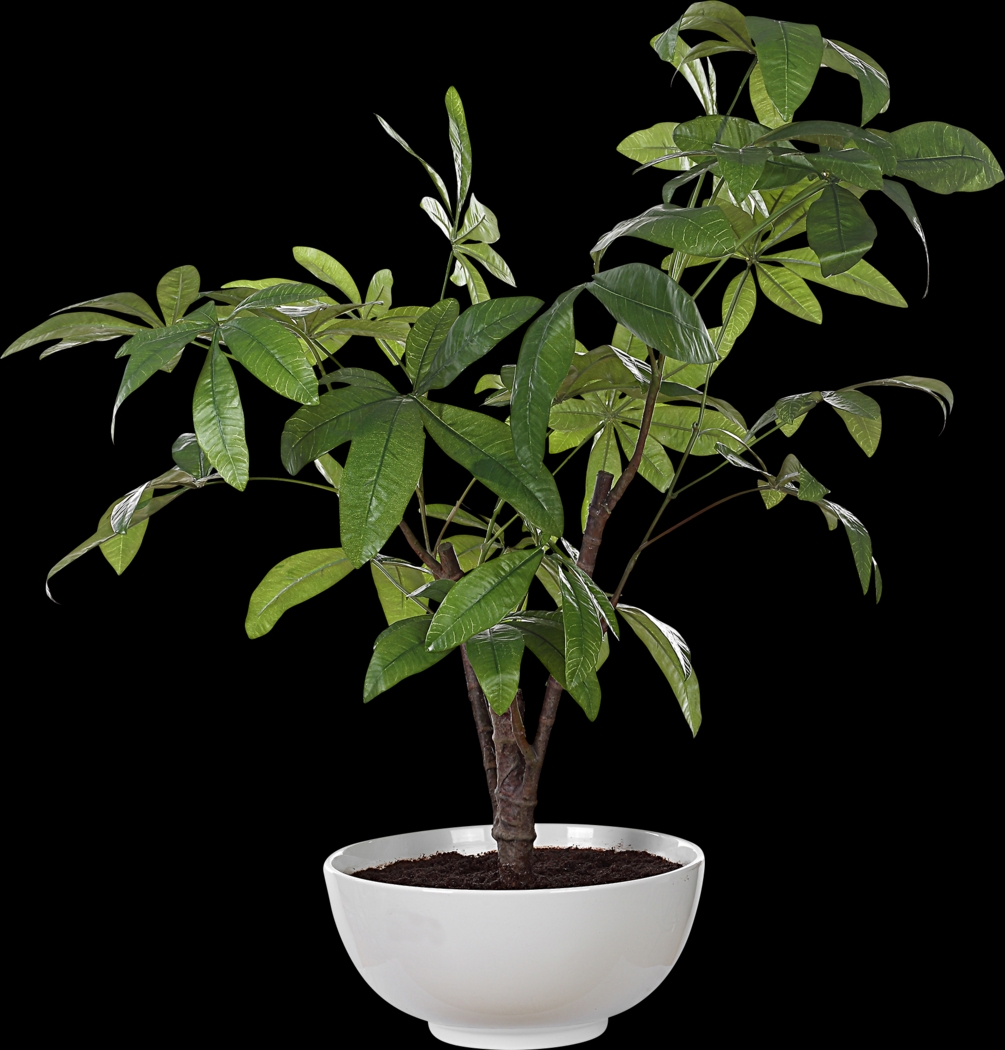 Faun Green Silk Plant - Thumbnail - Image 3