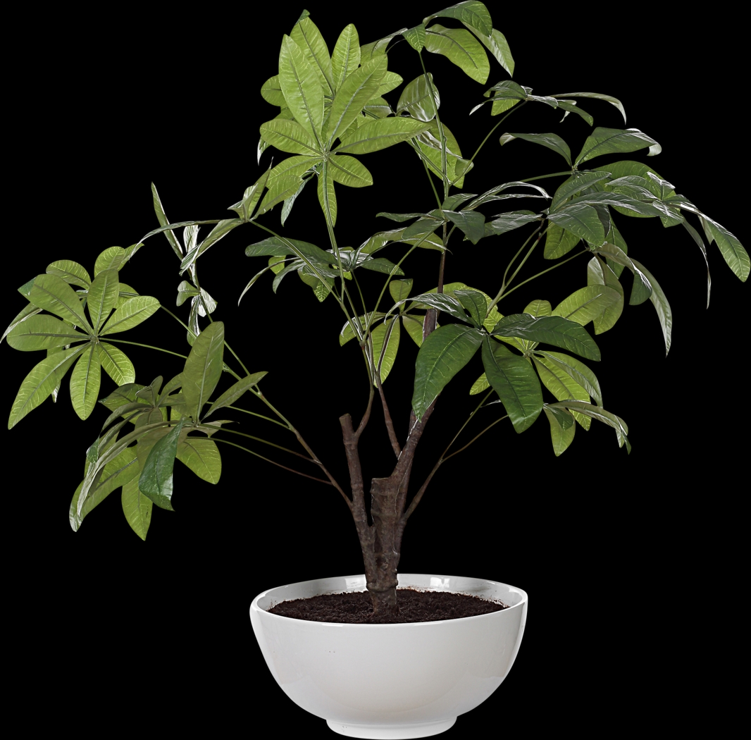 Faun Green Silk Plant - Thumbnail - Image 5