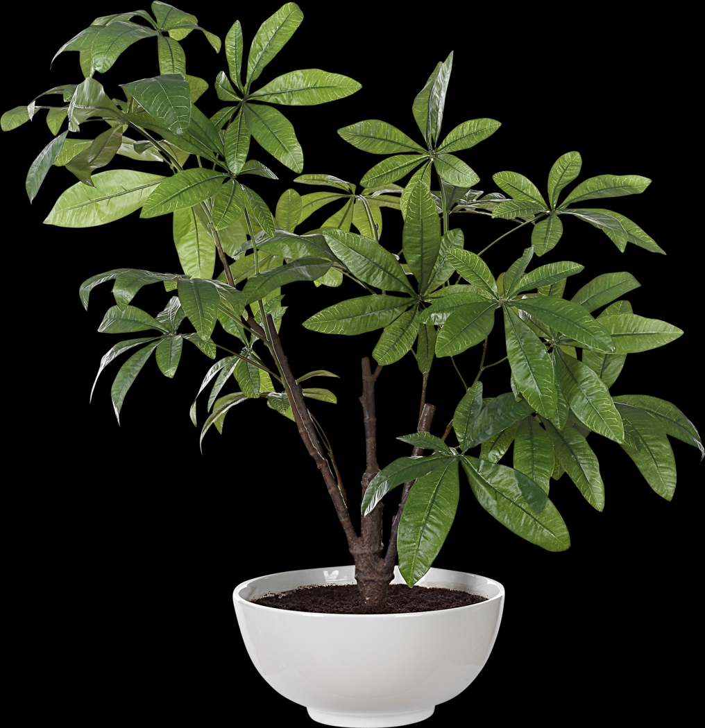 Faun Green Silk Plant - Thumbnail - Image 1