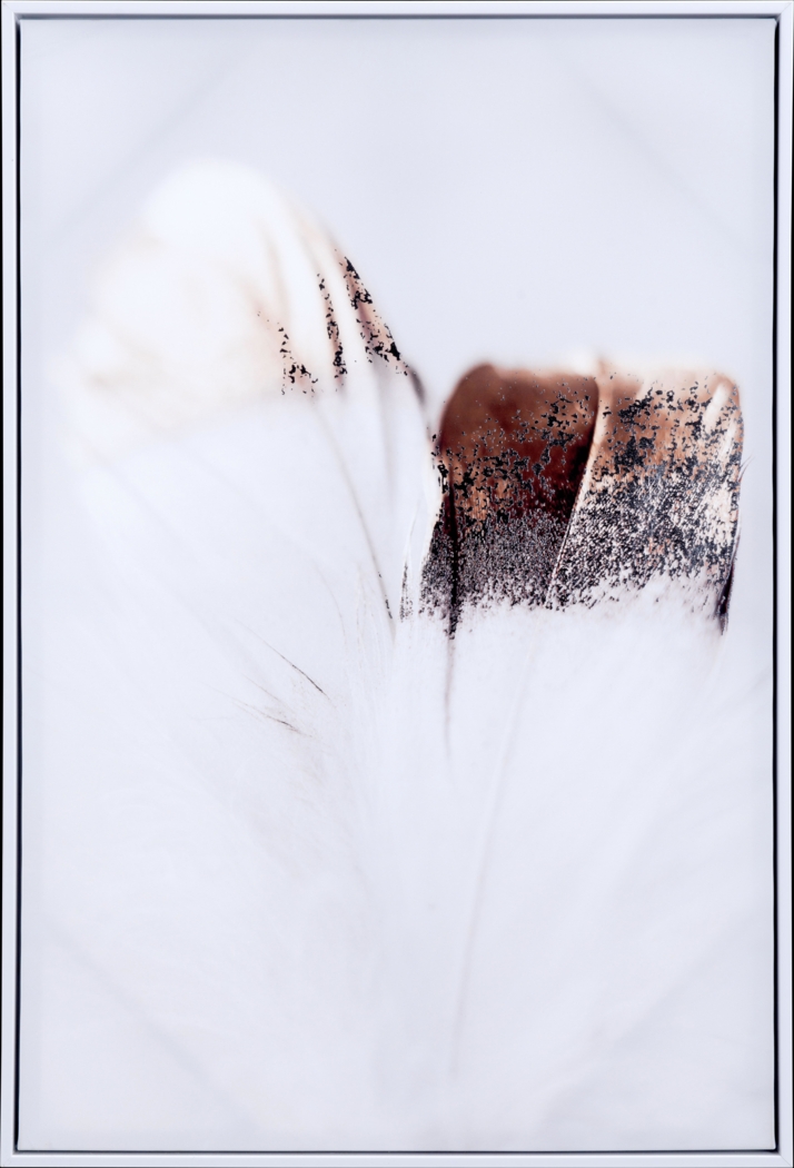 Feather Light White Artwork - Thumbnail - Image 1