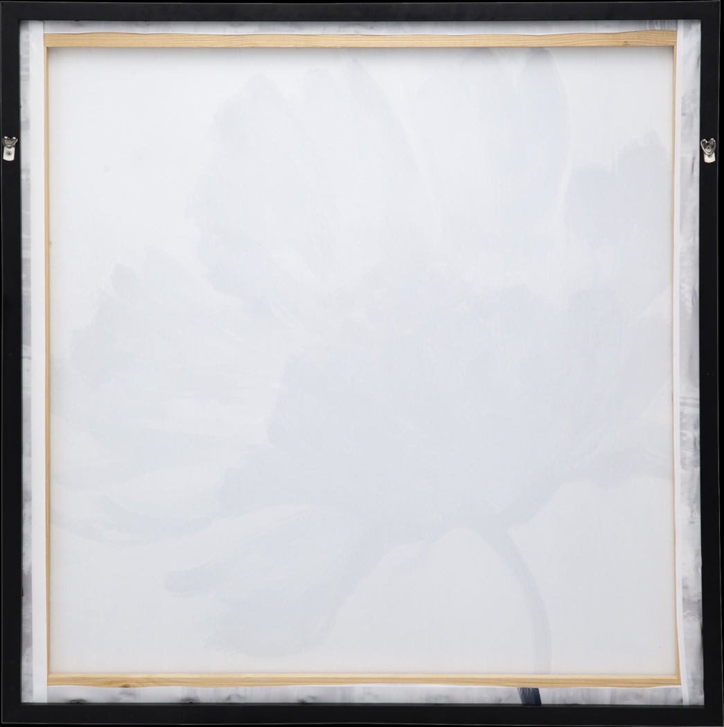 Fedelia Blue Artwork - Thumbnail - Image 6