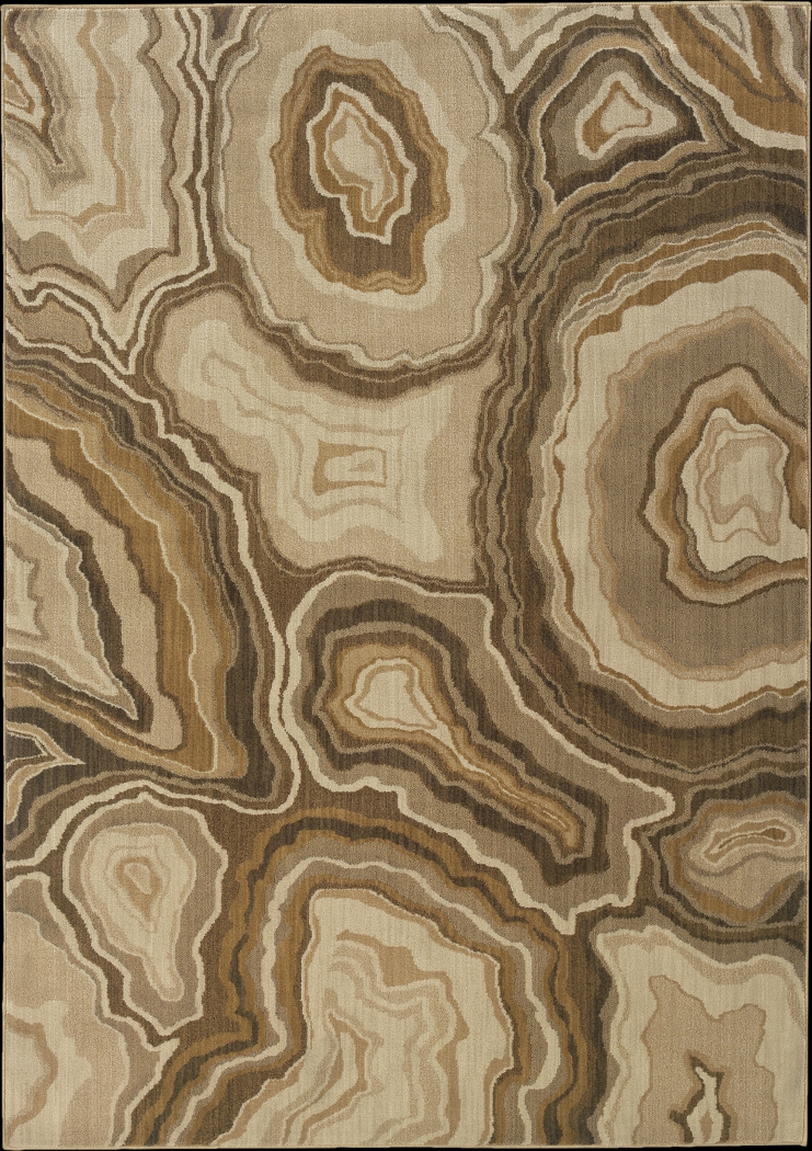 Fiddlewood 7'8 x 10'10 Brown Rug - Thumbnail - Image 1