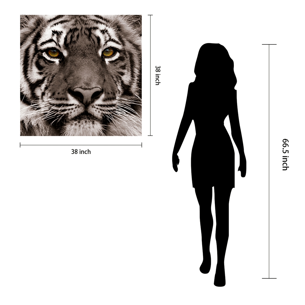 Fierce Look Artwork - Thumbnail - Image 3