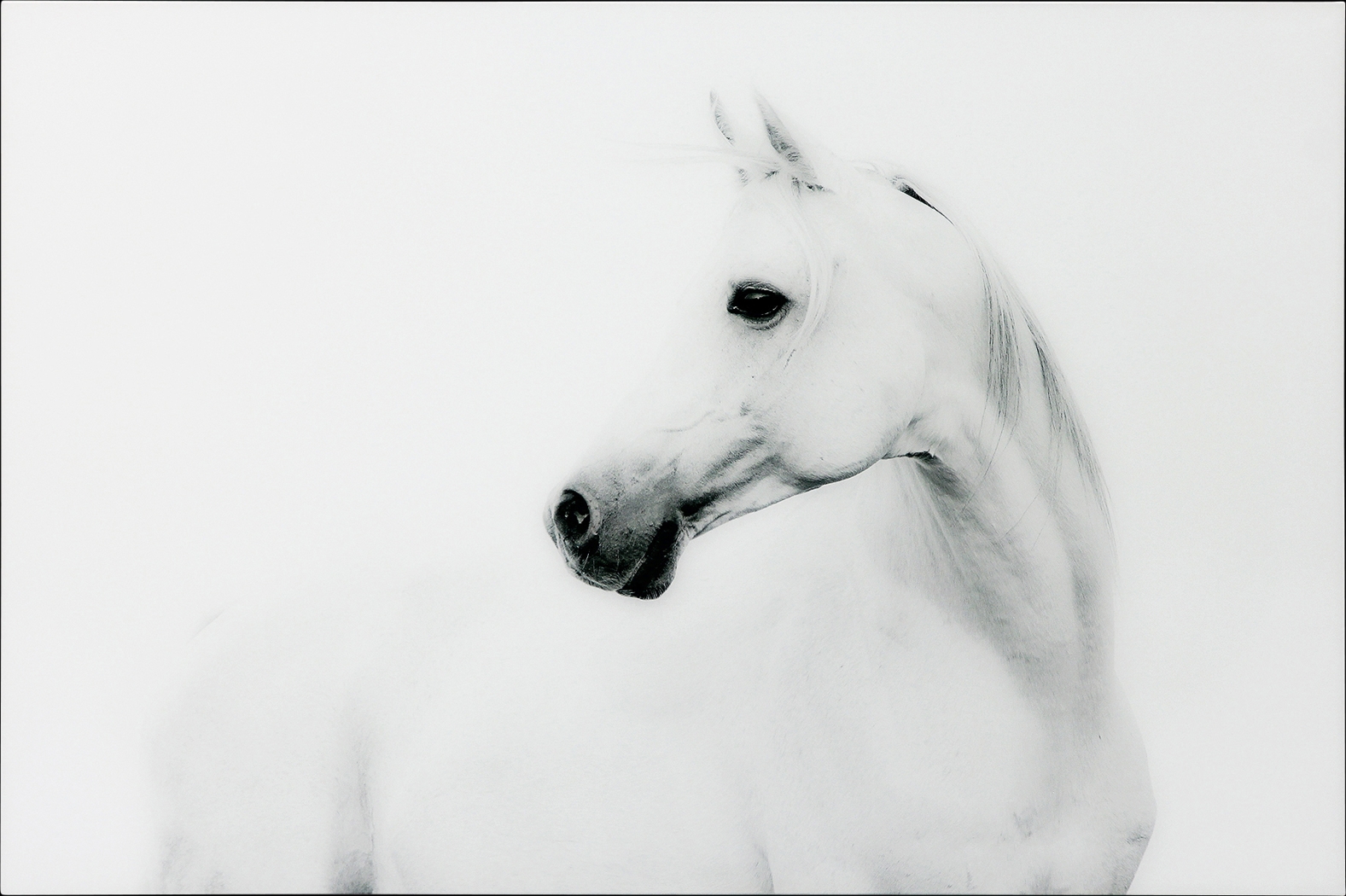 First Winter Artwork - Thumbnail - Image 1