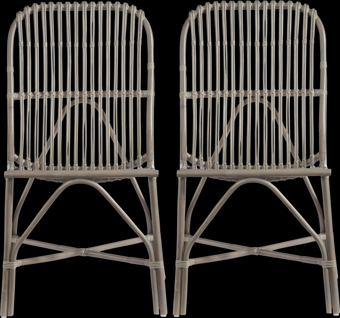 Fishhawk Gray Side Chair, Set of 2 - Thumbnail - Image 2