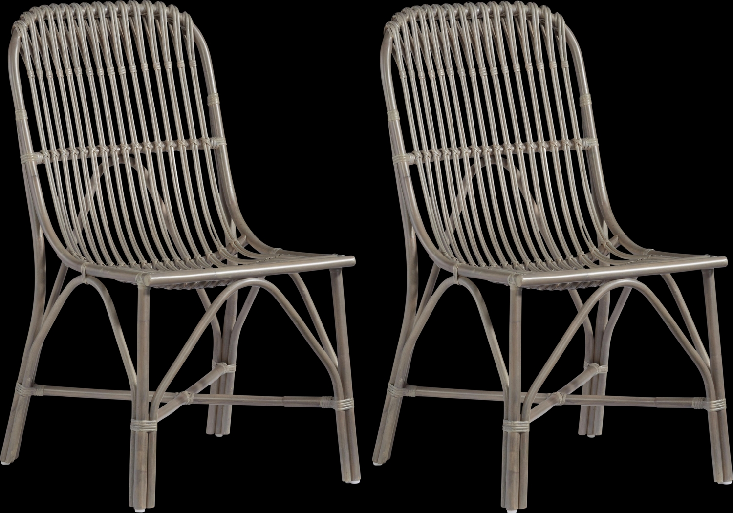 Fishhawk Gray Side Chair, Set of 2 - Thumbnail - Image 1