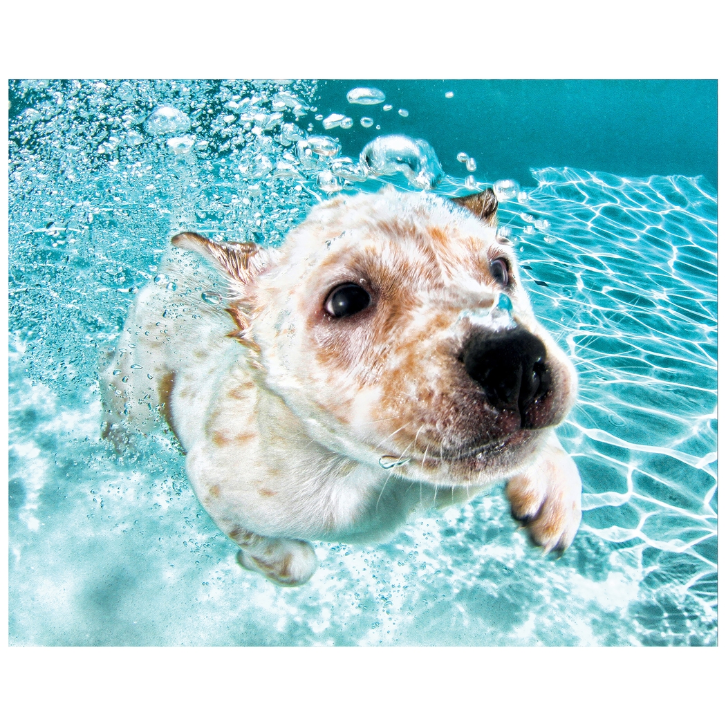 Floating Chubbs Artwork - Thumbnail - Image 1