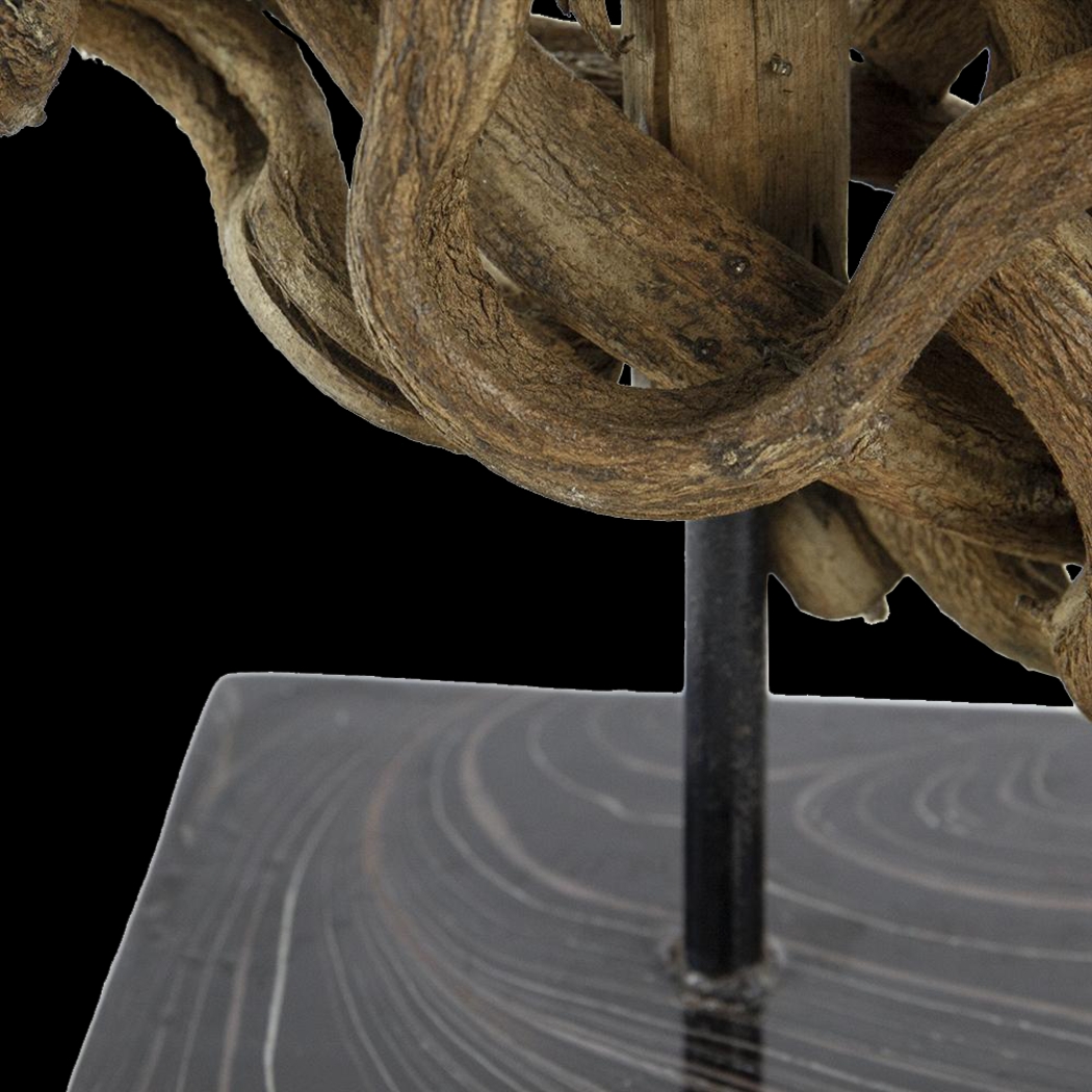 Formosana Brown Statue - Thumbnail - Image 4